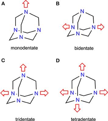 Short X···N Halogen Bonds With Hexamethylenetetraamine as the Acceptor